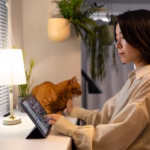 Cat Boarding Services for Senior Cats: What Owners Need to Know